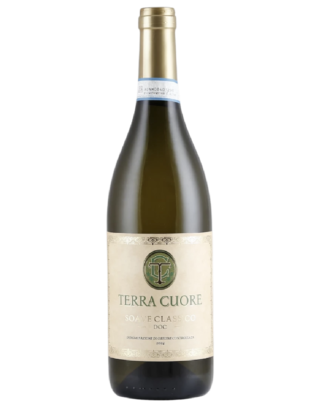 Terra Cuore, Soave Classico, 2024, Veneto, Italien