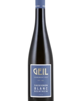 Geil, Sauvignon Blanc, Bechtheim 2024, Rheinhessen, Tyskland