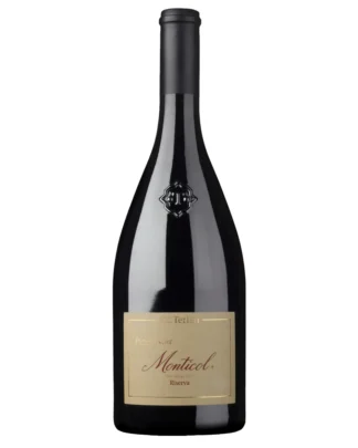 Cantina Terlan, Monticol Pinot Nero DOC Riserva, 2021, Tyrol, Italien